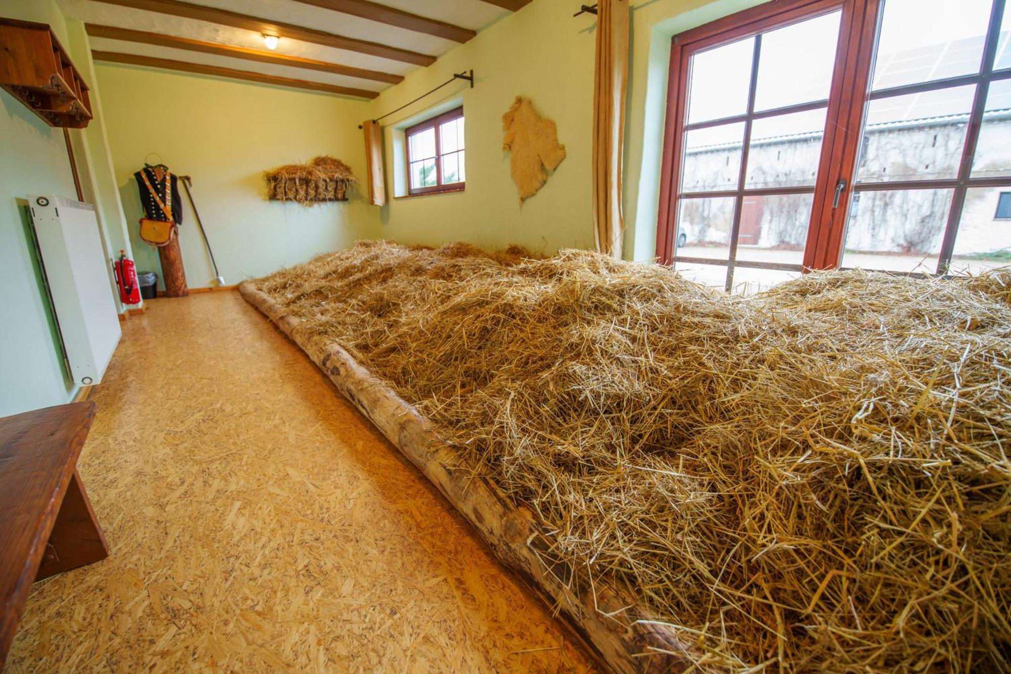 Scheunenherberge Unterspreewald Eksteriør billede